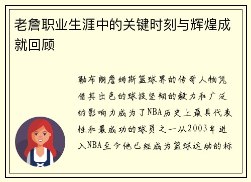 老詹职业生涯中的关键时刻与辉煌成就回顾